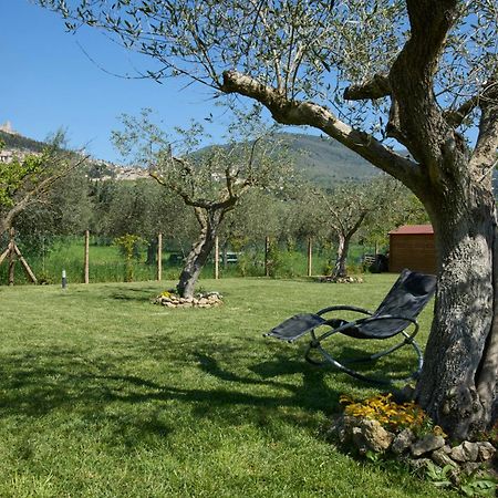 Il Granaio Di Rossetti Elisabetta Otel Assisi Dış mekan fotoğraf