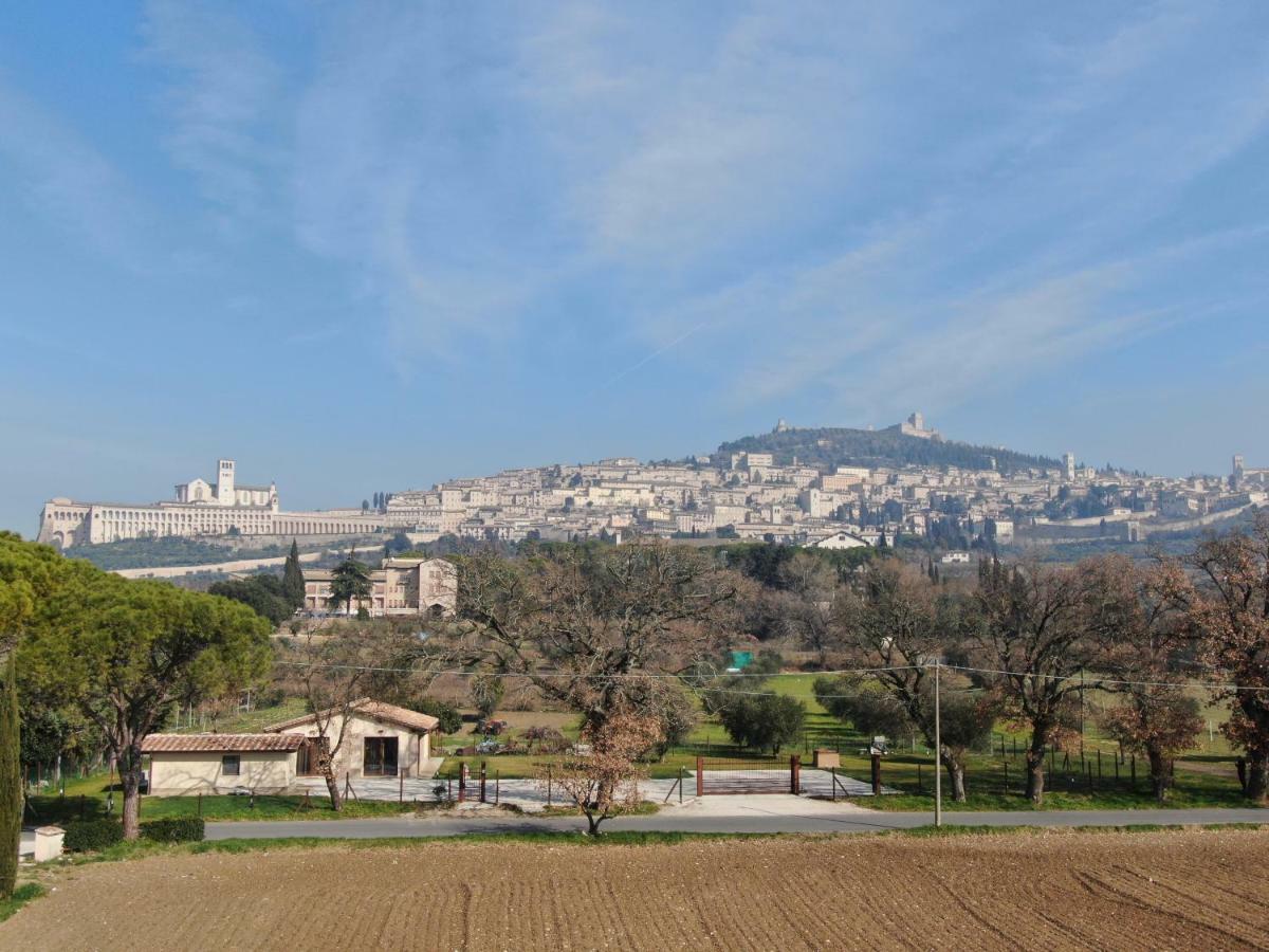 Il Granaio Di Rossetti Elisabetta Otel Assisi Dış mekan fotoğraf